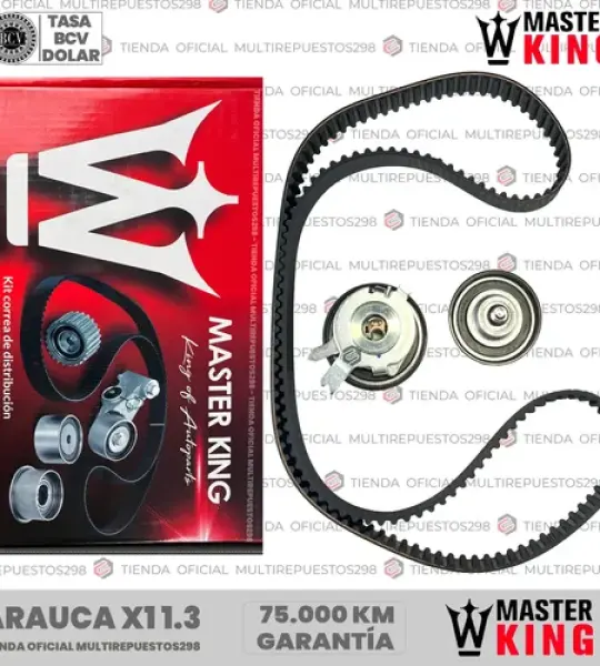 KIT TIEMPO MK K025668XS ARAUCA X1 1.3