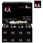 BUJIA MAGNUSS S12YC