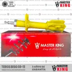 AMORT M MK G22050036 TERIOS BEGO 08-15 DEL AMB